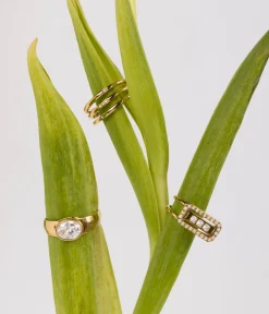 Bague Lucci