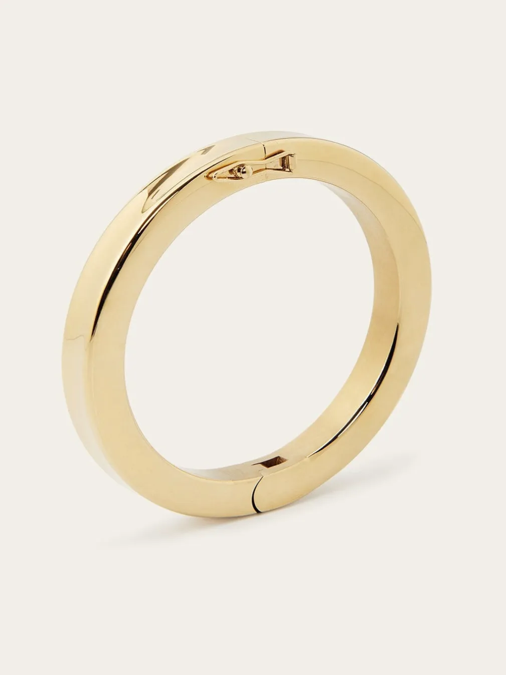 Bracelet Jonc Darwin