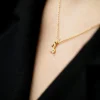 Collier Capricorn