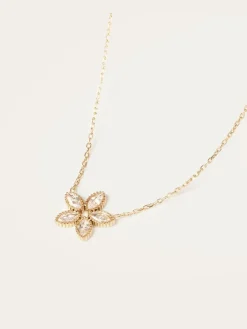 Collier Demo