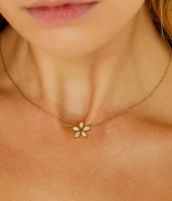 Collier Demo