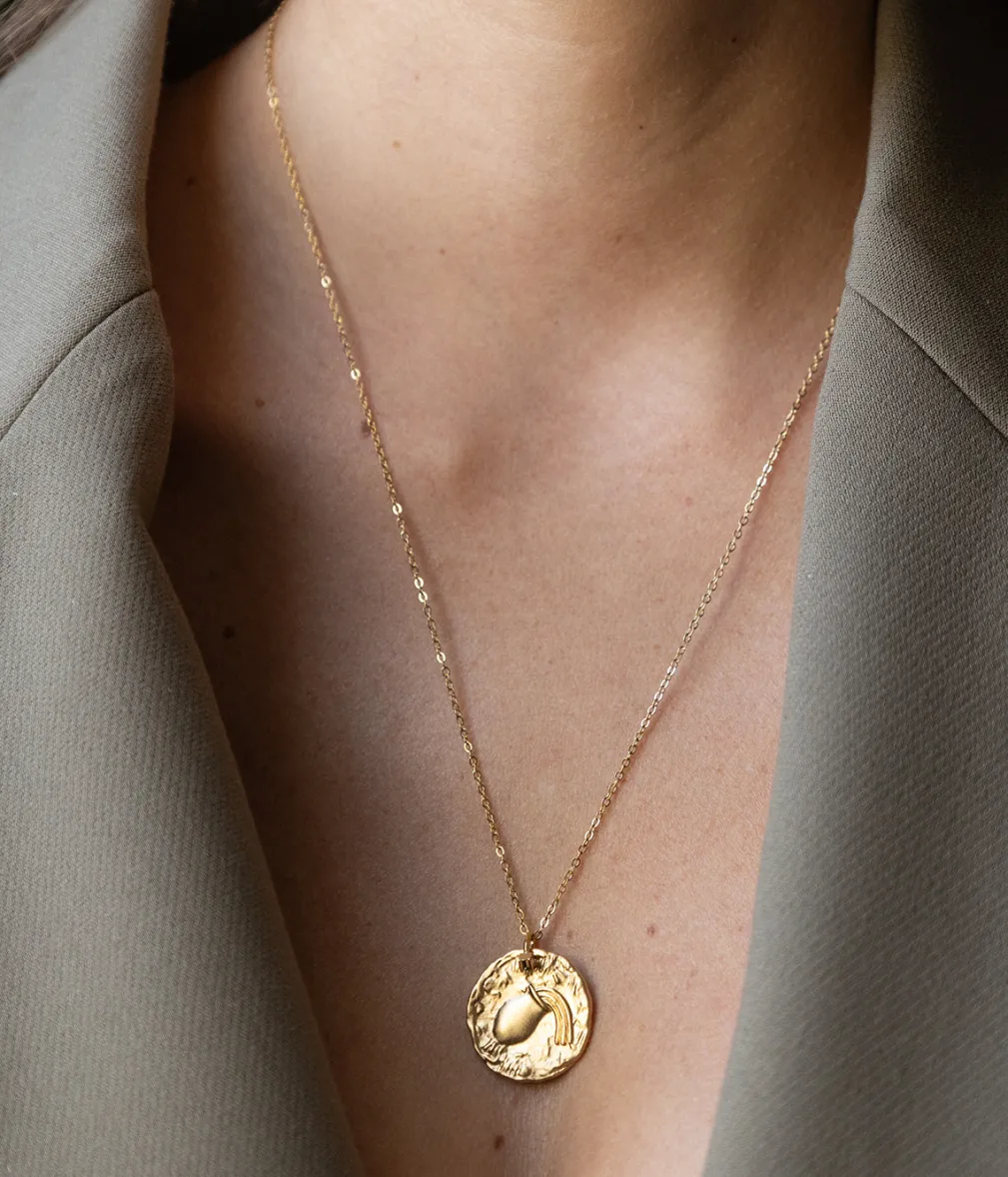 Collier Hydrochoeus