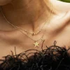 Collier Shanks