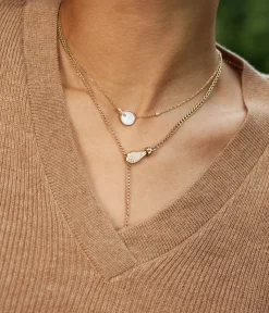 Collier Snake