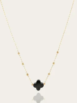 Collier Velasquez
