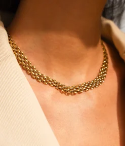 Collier Verbena