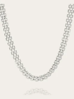 Collier Verbena