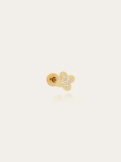 Piercing Groenland