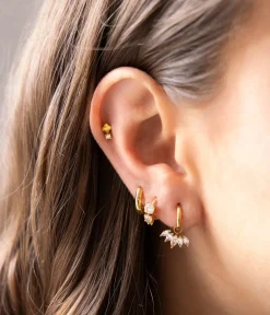 Piercing Hastings